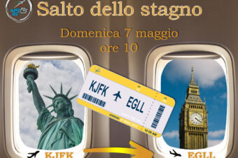 Salto dello stagno