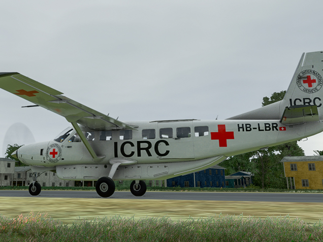 Red Cross Mission