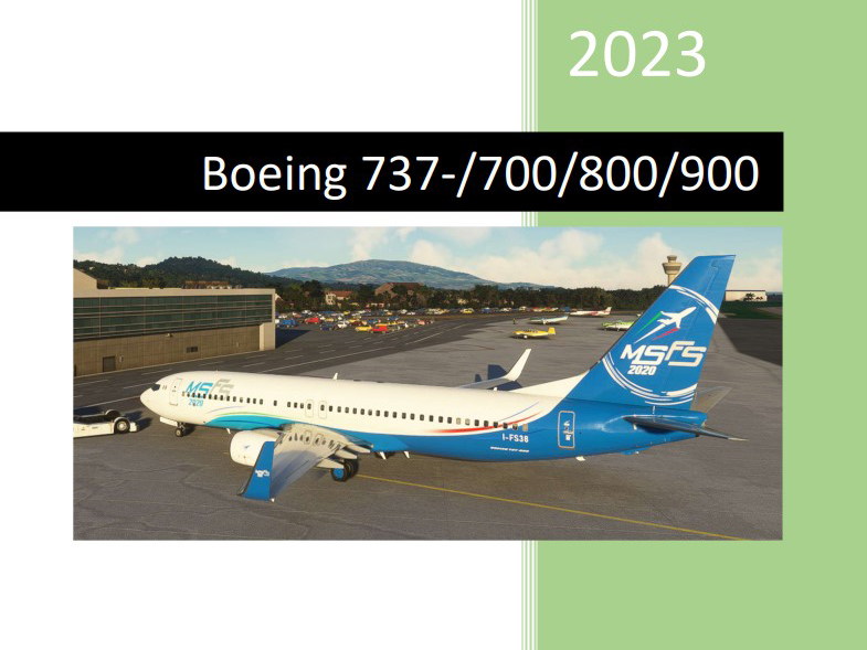 Manuale 737